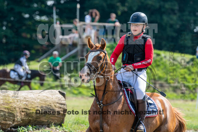 Goldene Schärpe 2021 - Ponys
