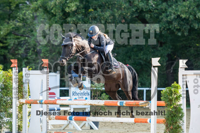 RFV Dinslaken-Hiesfeld (Herbstturnier)