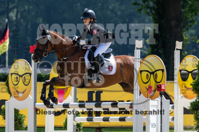 Goldene Schärpe 2021 - Ponys