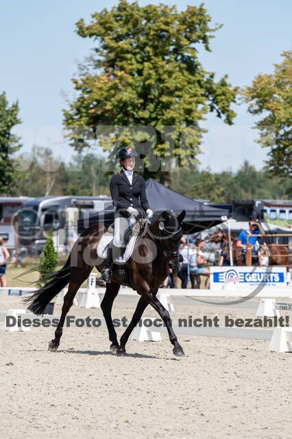 Kronenberg - De Peelbergen (August 2020)