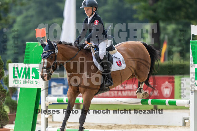 Goldene Schärpe 2021 - Ponys