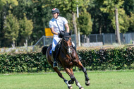 Kronenberg - De Peelbergen (August 2020)