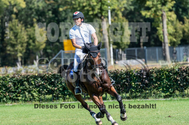Kronenberg - De Peelbergen (August 2020)