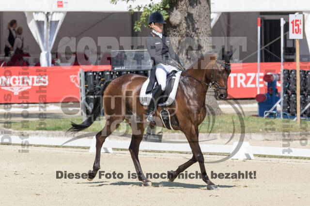 FEI European Championship Eventing 2017