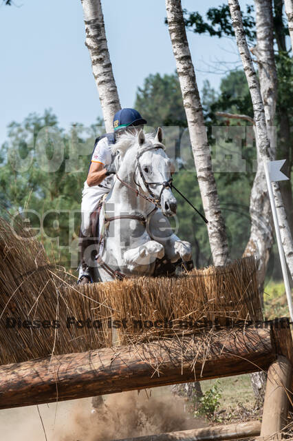 De Peelbergen (August 2020)