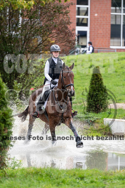 Goldene Schärpe 2020 - Pferde