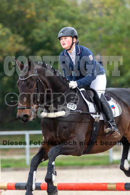 Goldene Schärpe 2020 - Pferde