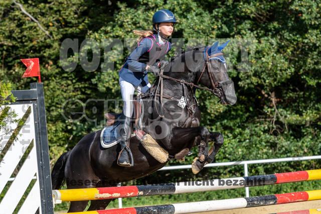 RFV Dinslaken-Hiesfeld (Herbstturnier)