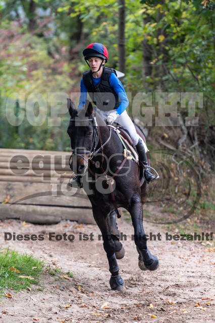 Goldene Schärpe 2020 - Pferde