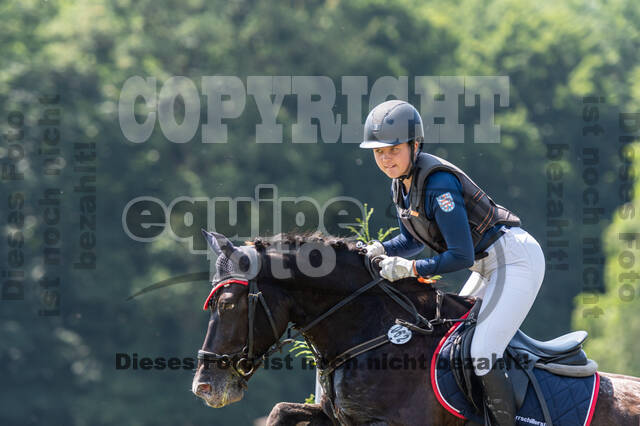 Goldene Schärpe 2021 - Ponys