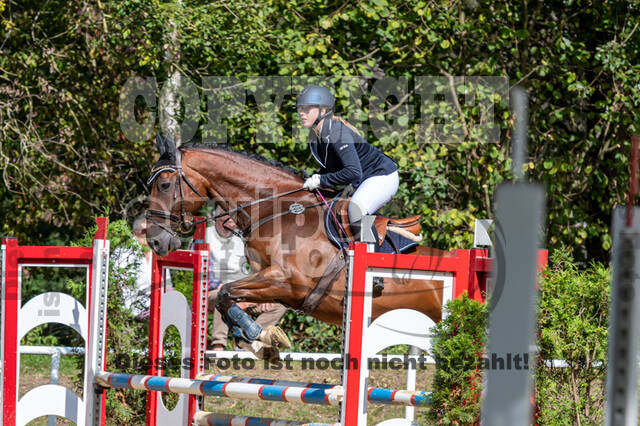 RFV Dinslaken-Hiesfeld (Herbstturnier)