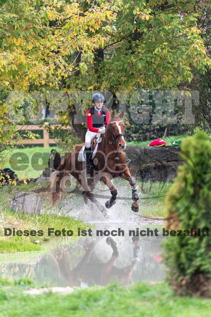 Goldene Schärpe 2020 - Pferde