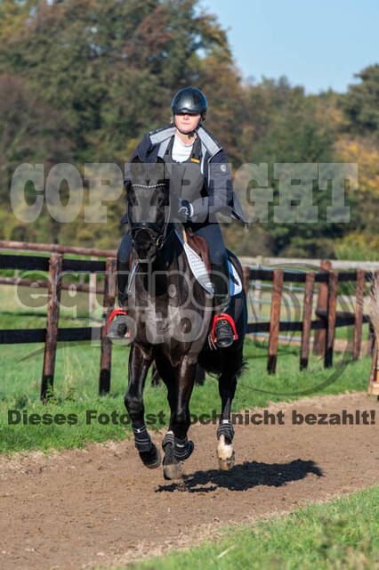 Vielseitigkeitslehrgang mit Jürg Kurbel (9.+10.11.2019)