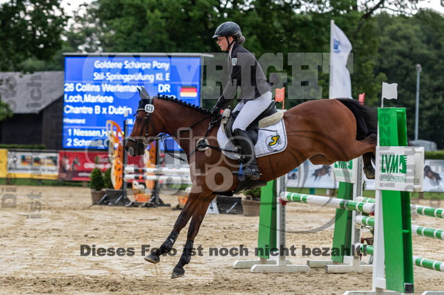 Goldene Schärpe 2021 - Ponys