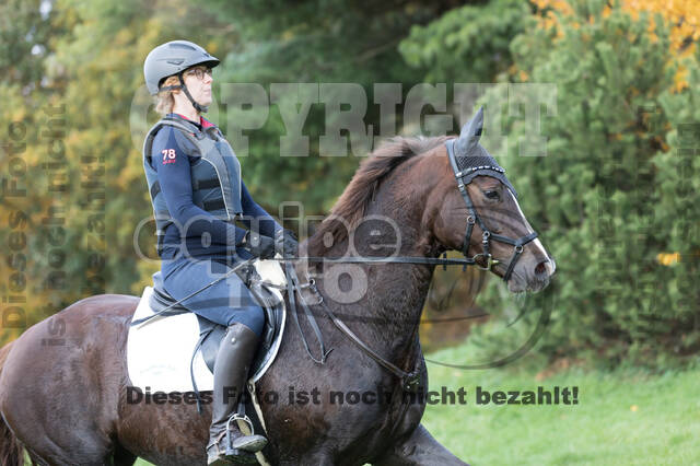 IGV Lehrgang der Sieger der Cups mit Frank Ostholt