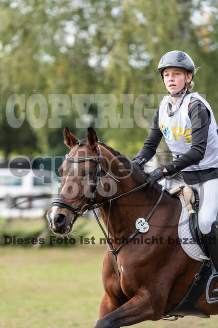 Vielseitigkeit RSV Wesel Obrighoven (26.+27.09.2020)