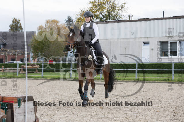 IGV Lehrgang der Sieger der Cups mit Frank Ostholt
