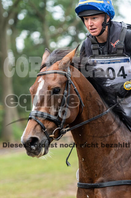 De Peelbergen (August 2020)
