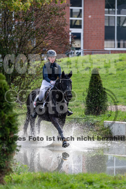 Goldene Schärpe 2020 - Pferde