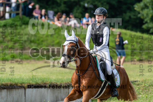 Goldene Schärpe 2021 - Ponys