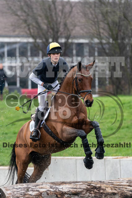 Goldene Schärpe 2020 - Pferde