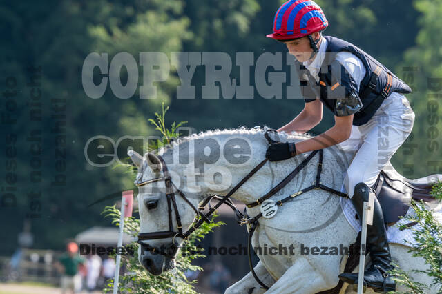 Goldene Schärpe 2021 - Ponys
