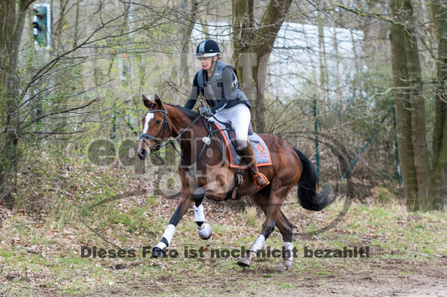 Eventing im Pferdesportzentrum Rheinland (Late Entry 14.03.2022)
