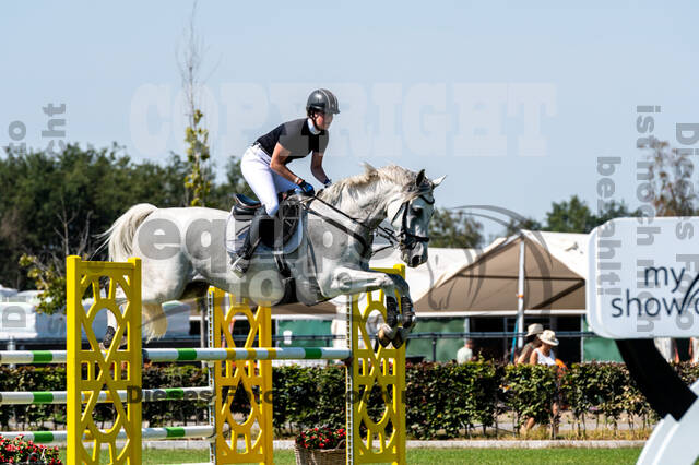 Kronenberg - De Peelbergen (August 2020)