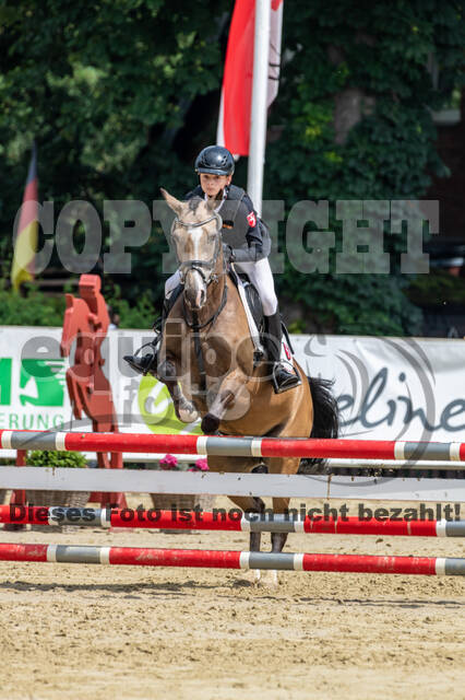 Goldene Schärpe 2021 - Ponys
