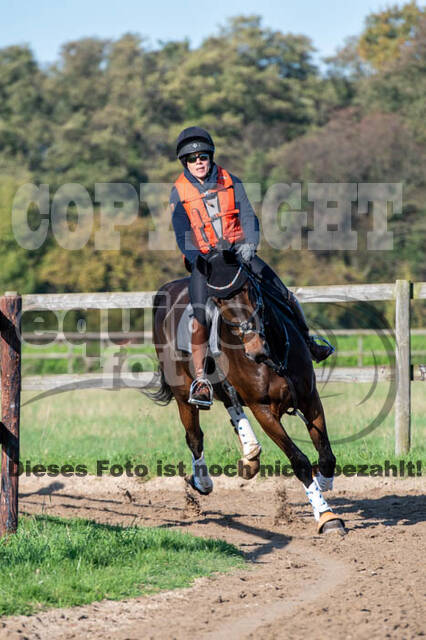 Vielseitigkeitslehrgang mit Jürg Kurbel (9.+10.11.2019)