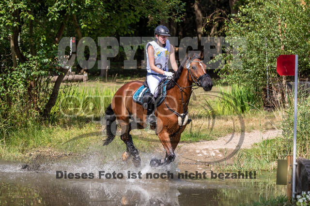 Late-Entry Vielseitigkeit Hamminkeln/Wesel (01.+02.08.2020)