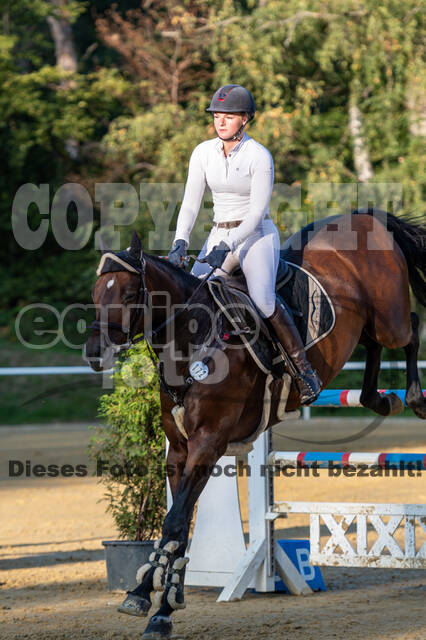 RFV Dinslaken-Hiesfeld (Herbstturnier)