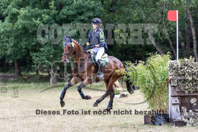Late-Entry Vielseitigkeit Hamminkeln/Wesel (01.+02.08.2020)