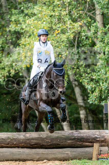 Vielseitigkeit RSV Wesel Obrighoven (26.+27.09.2020)