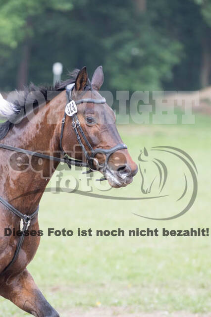 Vielseitigkeitsturnier ZRFV von Lützow Hamminkeln