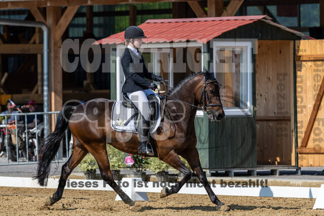 Westerstede Horse Trials 2021