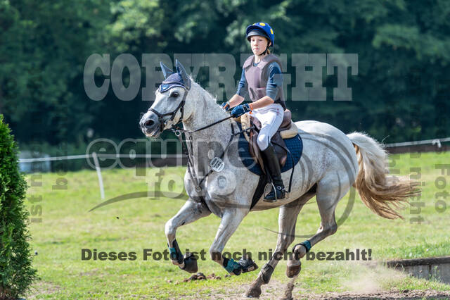 Goldene Schärpe 2021 - Ponys