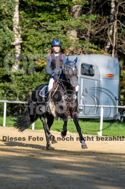 RFV Dinslaken-Hiesfeld (Herbstturnier)