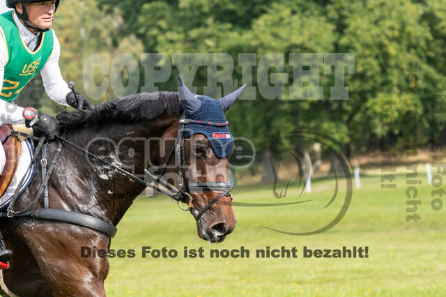 Deutsche Meisterschaft Vielseitigkeit (Luhmühlen)