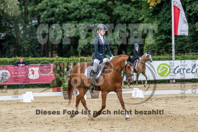 Goldene Schärpe 2021 - Ponys