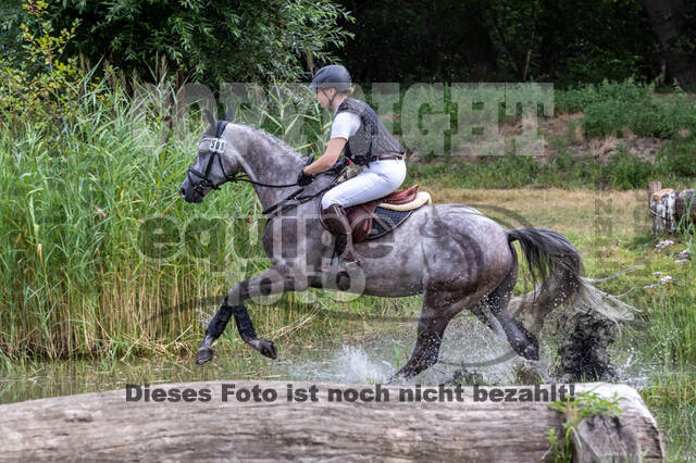 Late-Entry Vielseitigkeit Hamminkeln/Wesel (01.+02.08.2020)