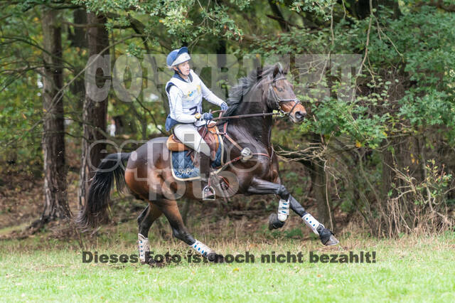 Vielseitigkeit RSV Wesel Obrighoven (26.+27.09.2020)