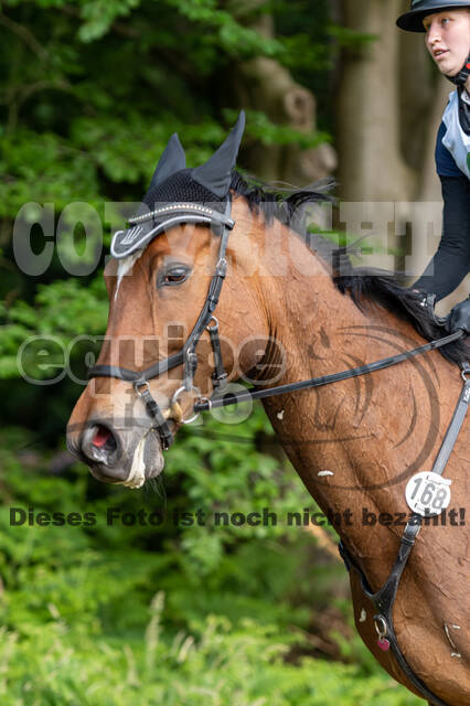 Westerstede Horse Trials 2021