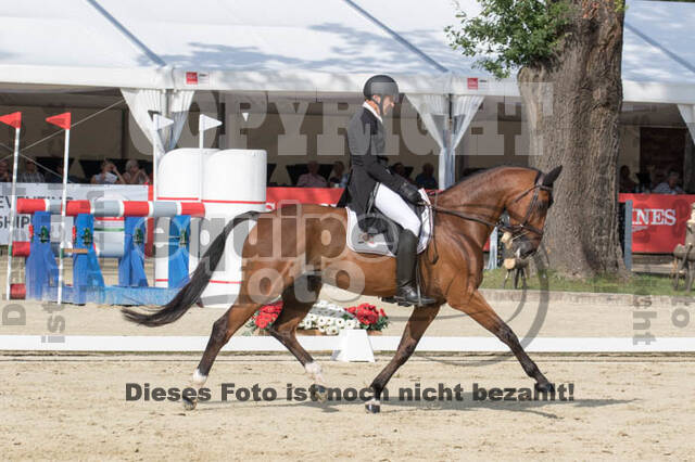 FEI European Championship Eventing 2017
