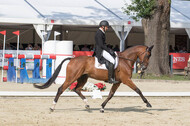 FEI European Championship Eventing 2017