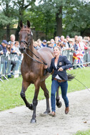 FEI European Championship Eventing 2017