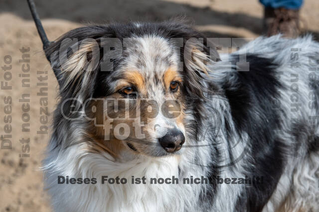 Geländetraining ZRFV Hamminkeln (24+25.04.2021)