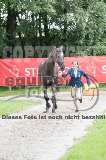 FEI European Championship