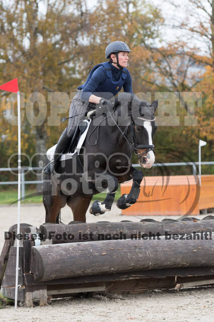 IGV Lehrgang der Sieger der Cups mit Frank Ostholt