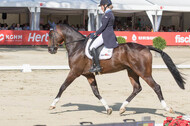 FEI European Championship Eventing 2017